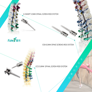 Spinal Implants For Stenosis