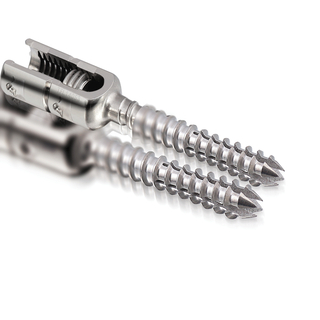 Spinal Polyaxial Pedicle Screw